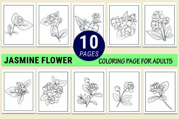 Jasmine Flowers Coloring Pages for KDP: A Scalable Vector Asset System for Creative Entrepreneurs
